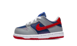 Nike Dunk Low Samba (2020) (TD)