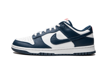 Nike Dunk Low Valerian Blue