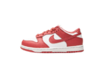 Nike Dunk Low White Gypsy Rose (PS)