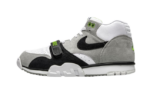 Nike SB Air Trainer 1 Chlorophyll (2020)