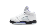 Jordan 5 Retro Dark Concord (TD)