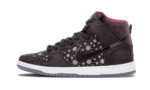 Nike SB Dunk High Brooklyn Projects Paparazzi