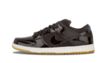 Nike SB Dunk Low Space Jam