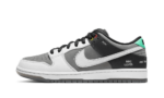 Nike SB Dunk Low VX1000