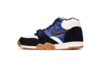 Nike SB Air Trainer 1 Polar Skate Co