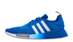 Adidas NMD R1 Blue Bird