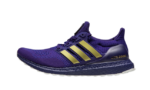 Adidas Ultra Boost 1.0 Washington