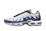 Nike Air Max Plus White Grape Ice