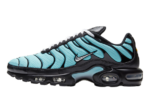 Nike Air Max Plus Aqua Blue