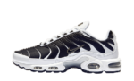 Nike Air Max Plus White Black Metallic Pewter