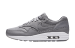 Nike Air Max 1 Pinnacle Wolf Grey