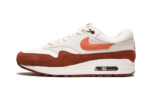 Nike Air Max 1 Mars Stone