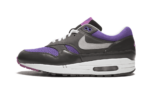 Nike Air Max 1 Premium Purple Pack