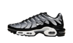 Nike Air Max Plus Black Silver White