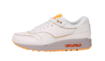 Nike Air Max 1 Cut Out Premium 100 (W)