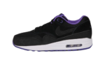 Nike Air Max 1 Essential Hyper Grape (W)