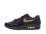 Nike Air Max 1 Pro Purple Fade