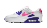 Nike Air Max 90 Concord Purple (W)