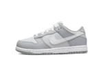 Nike Dunk Low Two-Toned Grey (PS)