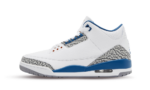 Jordan 3 Retro Wizards