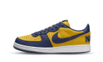 Nike Terminator Low Michigan