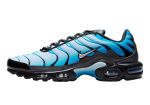 Nike Air Max Plus Blue Gradient