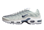 Nike Air Max Plus ‘Smoke Grey’ (W)