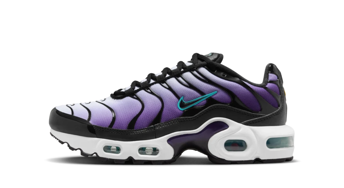 Nike Air Max Plus ‘Reverse Grape’ (GS)