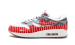 Nike Air Max 1 x Wasafu Los Primeros