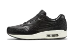 Nike Air Max 1 Stingray Pack