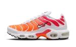 Nike Air Max Plus