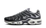 Nike Air Max Plus Greyscale Cool Grey