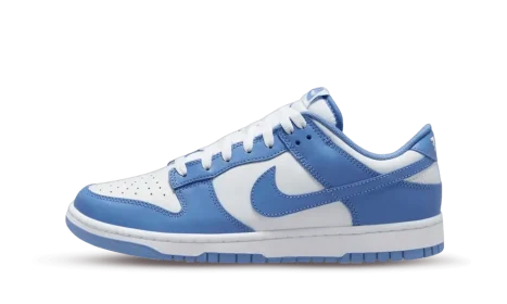 Nike Dunk Low Polar Blue