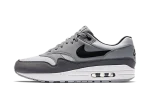 Nike Air Max 1 White Black Wolf Grey