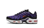 Nike Air Max Plus ‘Voltage Purple’ (GS)