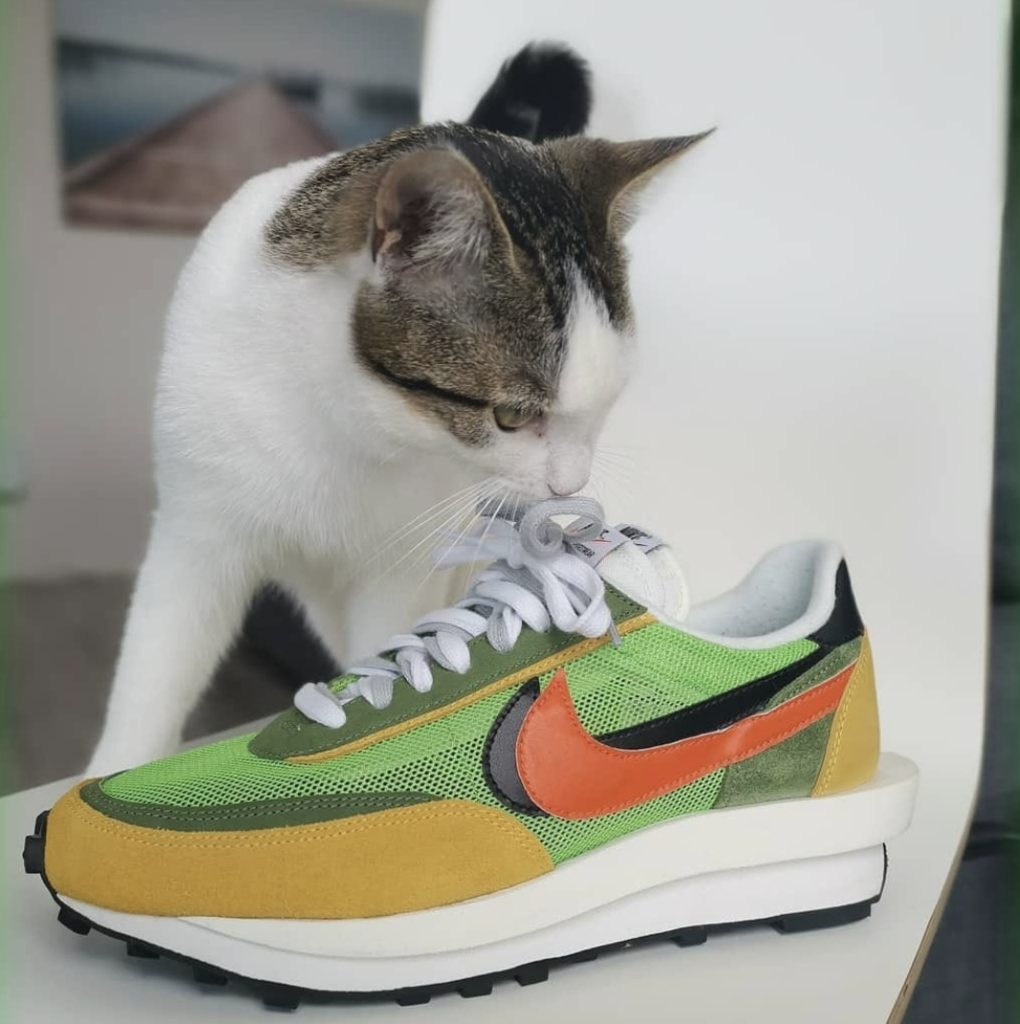 Sneakermood Cat