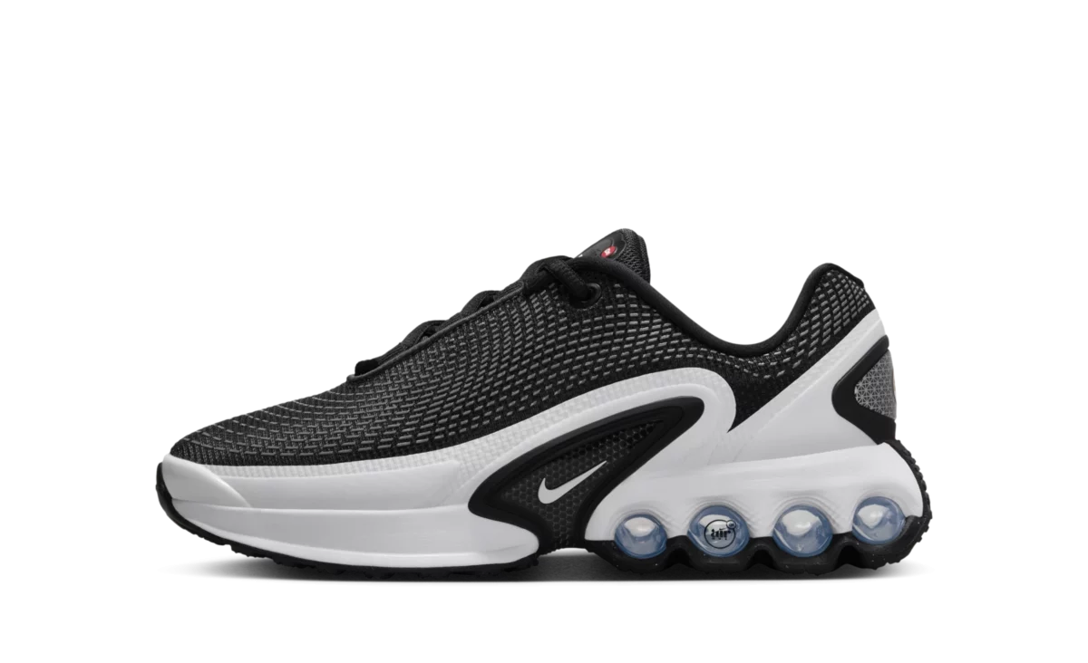 Nike Air Max Dn Black White Cool Grey (GS)