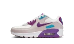 Nike Air Max 90 LTR ‘Viotech’ (GS)