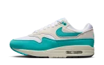 Nike Air Max 1 Dusty Cactus