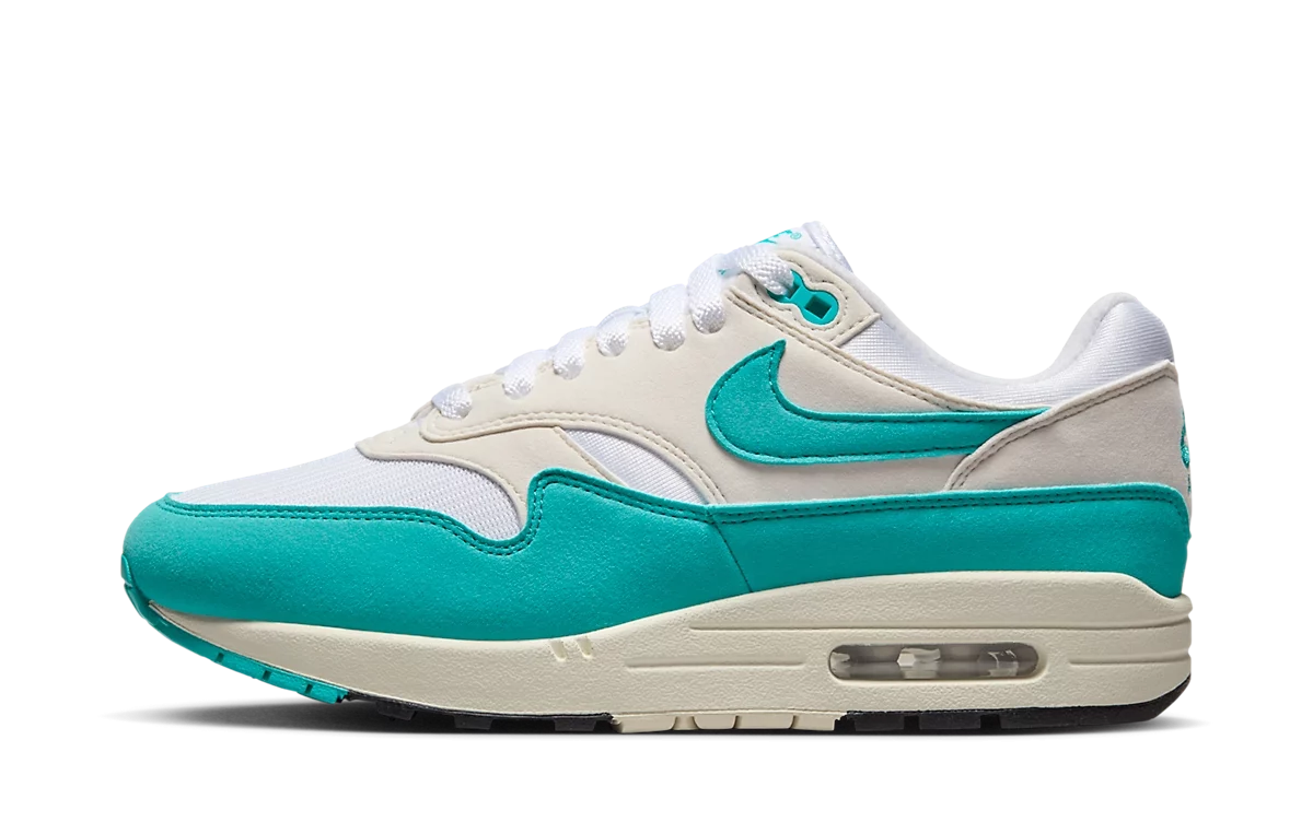 Nike Air Max 1 Dusty Cactus