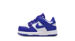 Nike Dunk Low ‘Concord’ (TD)