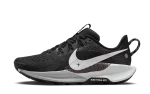 Nike Pegasus Trail 5 ‘Black’ (W)