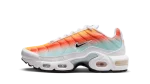 Nike Air Max Plus Tropical Sunset (GS)