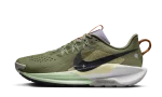 Nike Pegasus Trail 5 ‘Medium Olive’