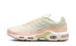 Nike Air Max Plus Crimson Tint (W)