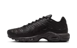 Nike Air Max Plus Premium Paris