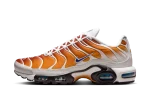 Nike Air Max Plus One Block Down Chutney