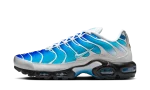 Nike Air Max Plus One Block Down Light Photo Blue