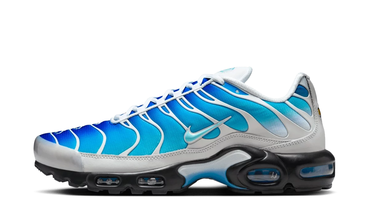 Nike Air Max Plus One Block Down Light Photo Blue