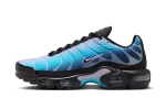 Nike Air Max Plus Black Hydrangeas (W)